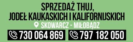 Thuja Smaragd /  Producen /  Pomorskie / Promocja