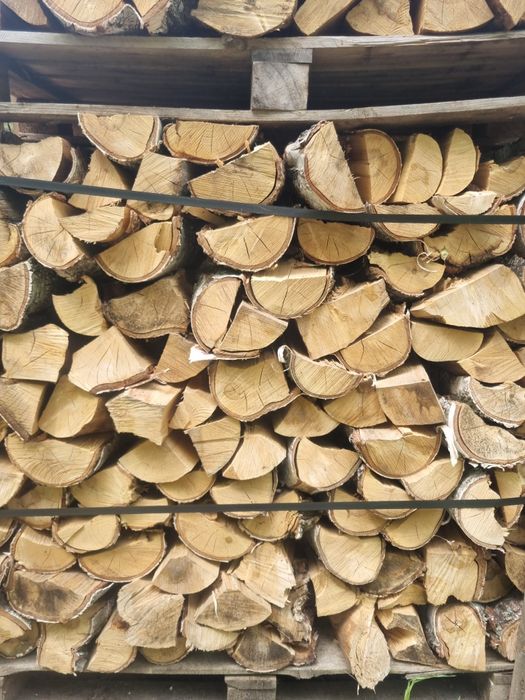 Drewno Opałowe BRZOZA