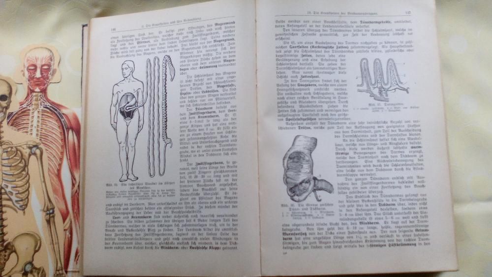 poradnik medyczny z 1920 r. w języku niemieckim