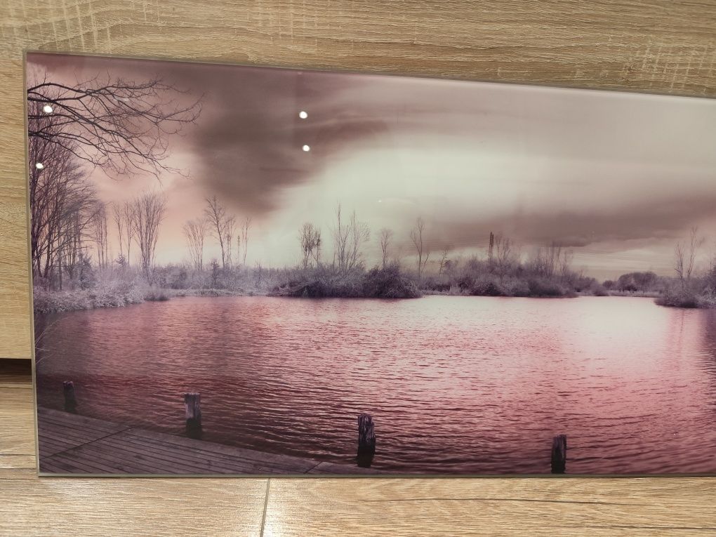 Obraz szklany duży fioletowy liliowy róż 30 x 115