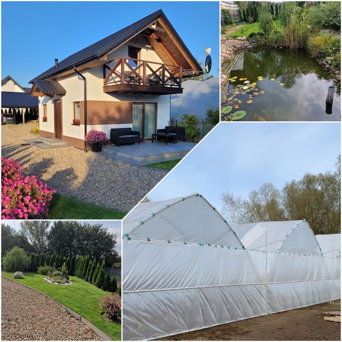 Dom jednorodzinny z tunelami foliowymi dochodową uprawa