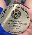 Medal za wygranie  wojewodzkiego pucharu polski