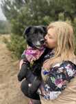Aura w typie labradora do adopcji ze schroniska!