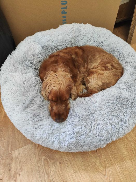 LEGOWISKO dla psa XXL plusz NOWE pieska pluszowe Chmurka POLSKIE duże