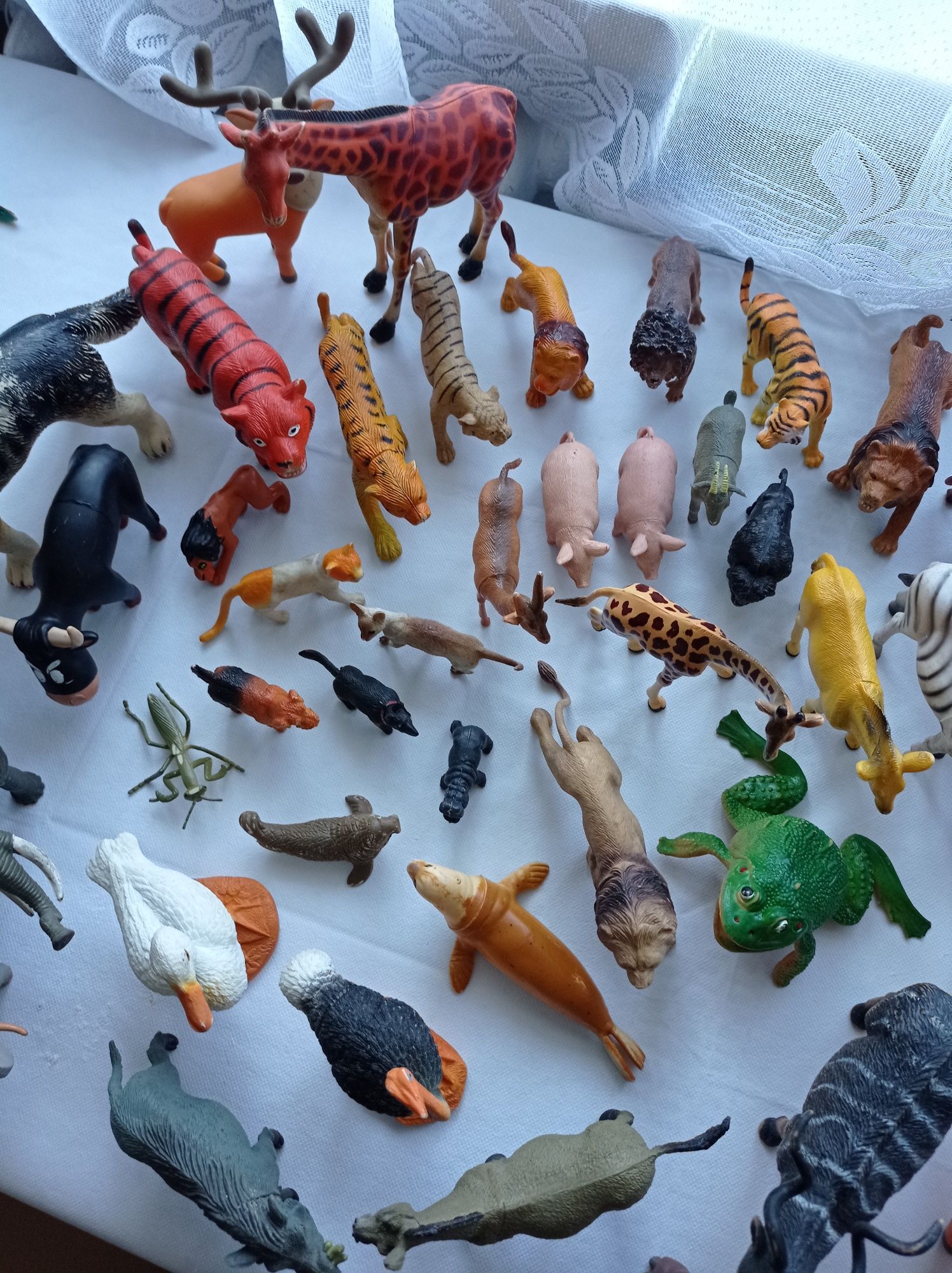 Pokaźna kolekcja Zwierząt i dinozaury
