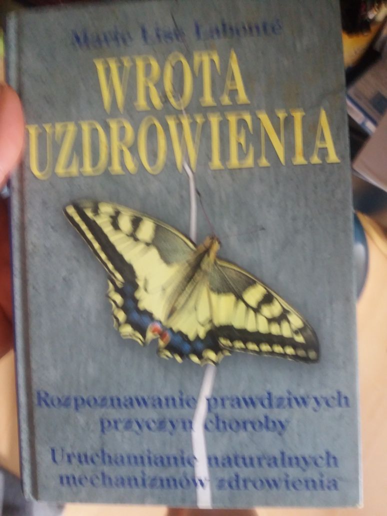 Wrota uzdrowienia autor Marie Lise Labonte