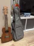 Ukulele koncertowe