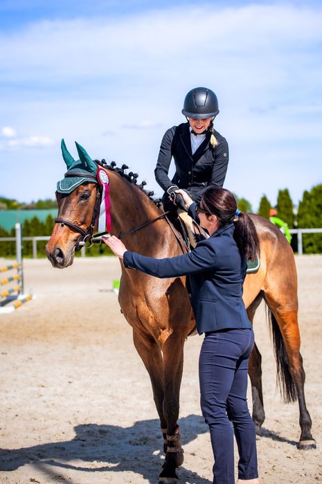 Śliczna doświadczona klacz