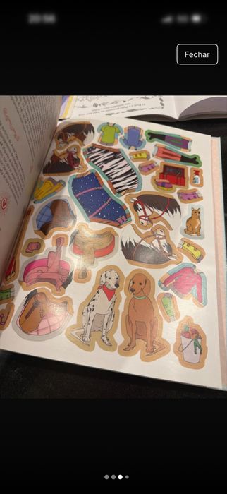 Livro Cavalos e Equitação Novo