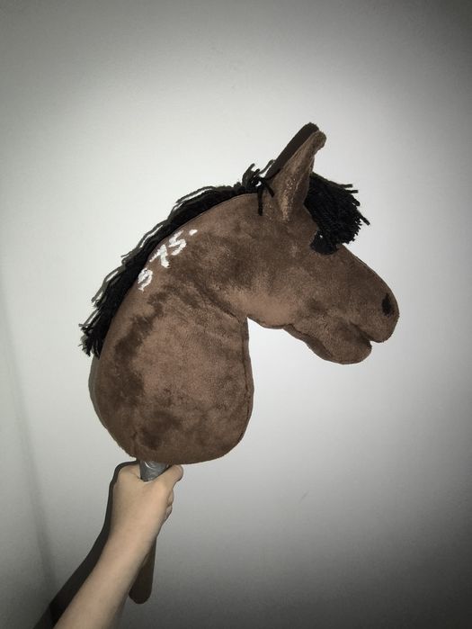 Brązowy hobby horse
