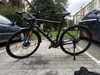 Gravel bergamont