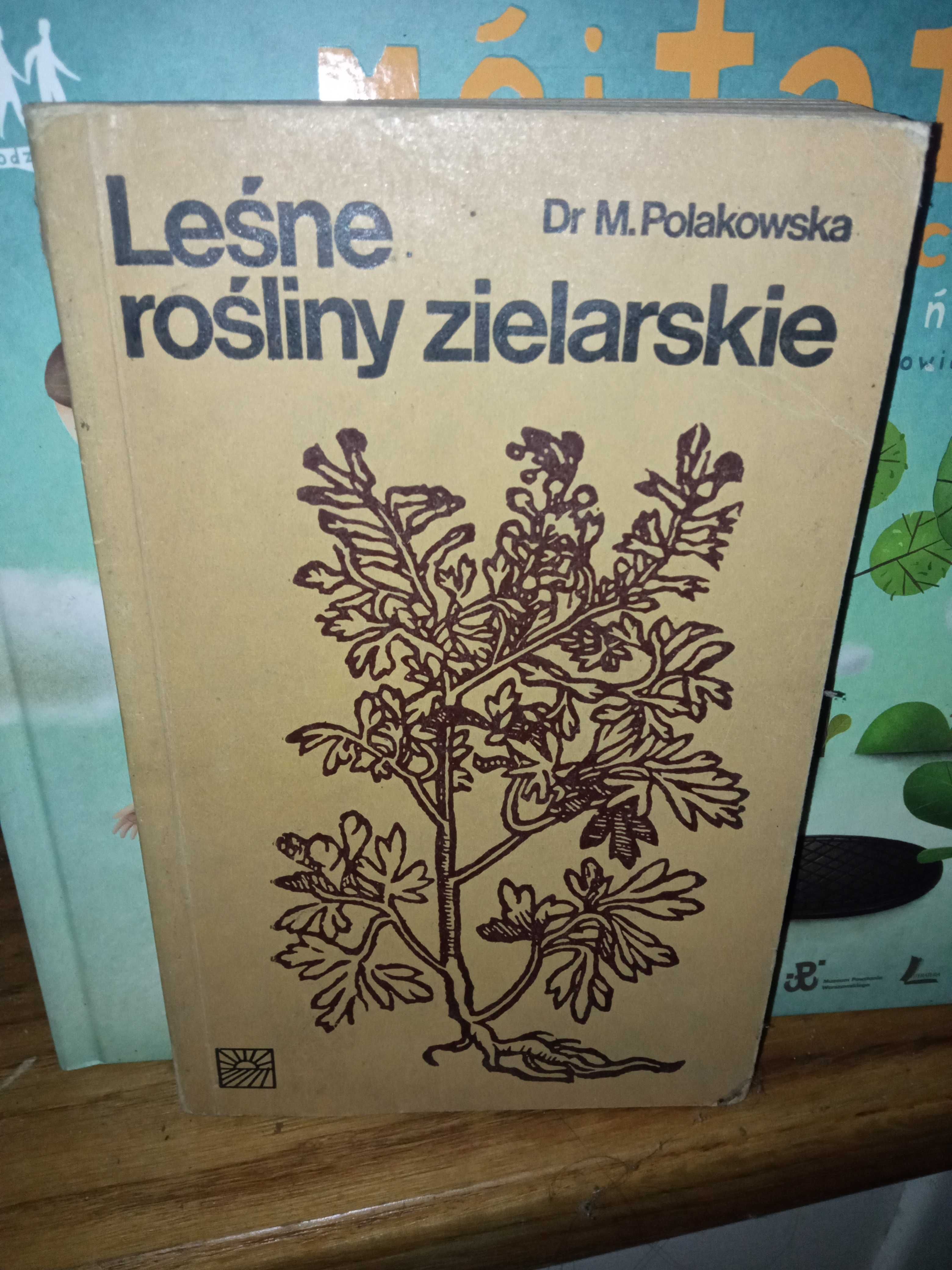 Leśne rośliny zielarskie Polakowska