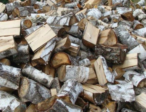 Drewno drzewo kominkowe i opalowe brzoza