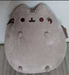 Pusheen- oryginalna maskotka