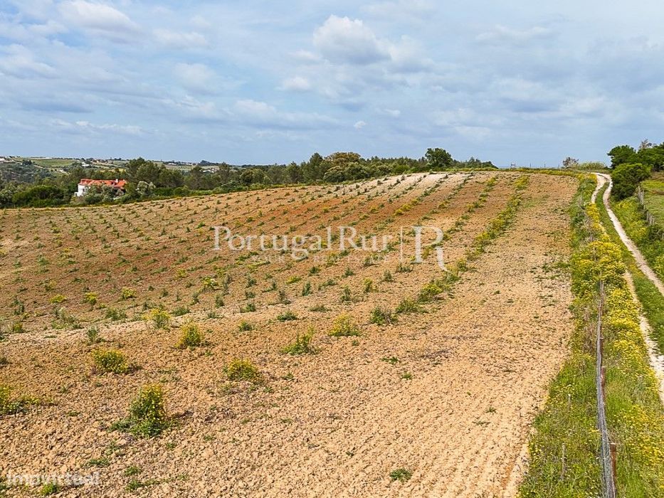 Quinta com 4,6 Hectares no Ribatejo
