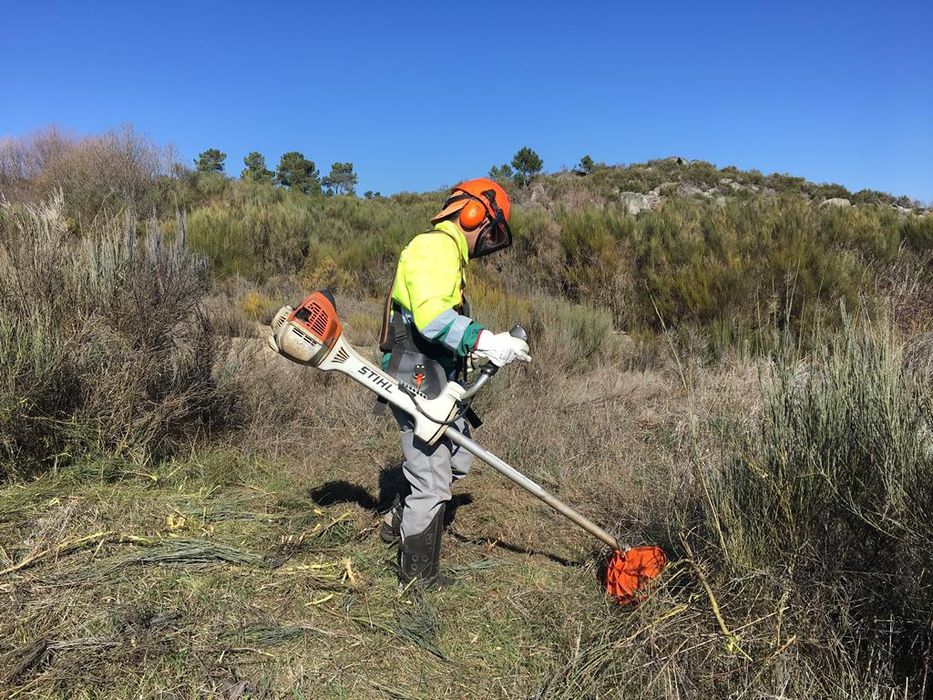 Limpeza de terrenos.