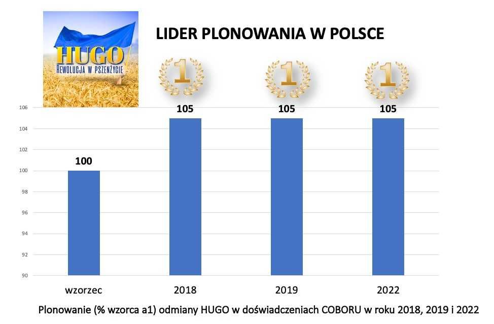 Pszenżyto Przewódkowe HUGO - Rewelacyjny Plon Przewódka późny siew