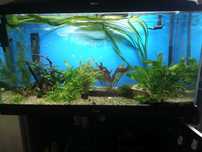 Akwarium 200l Optiwhite