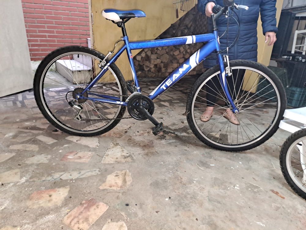 Bicicleta adulto azul