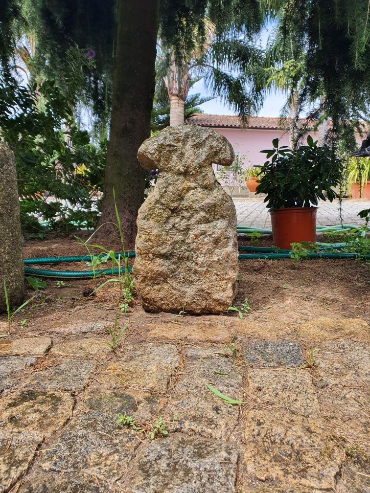 Cogumelo de pedra granito