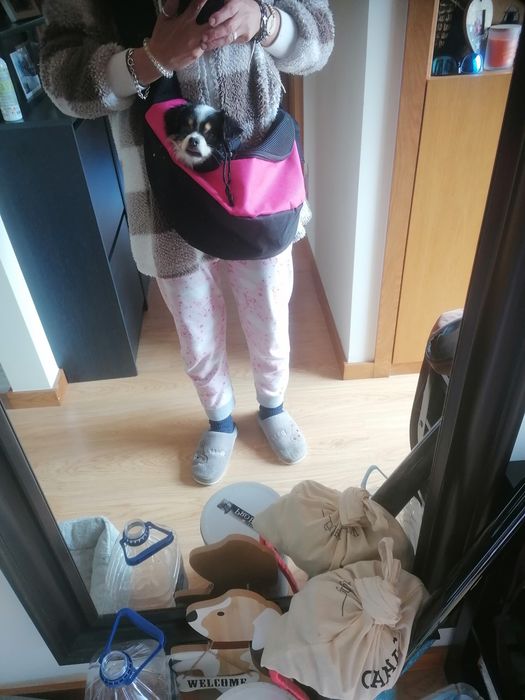 Mochila transporte cães