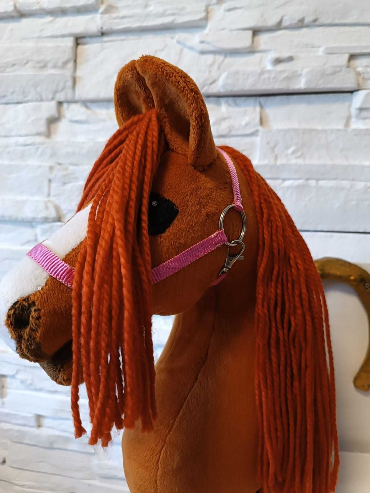 Konik Hobby Horse