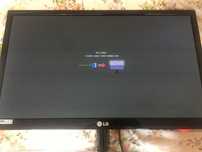 Монитор Lg Flatron Ips 234V-PN