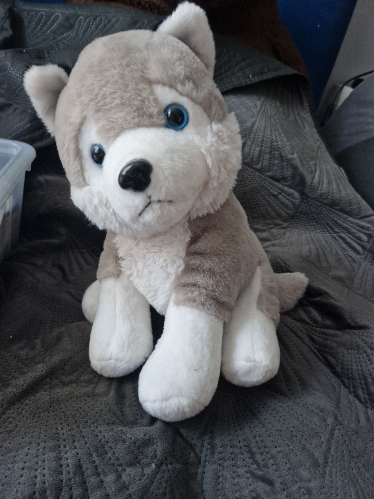 Pluszak husky przytulanka smiki