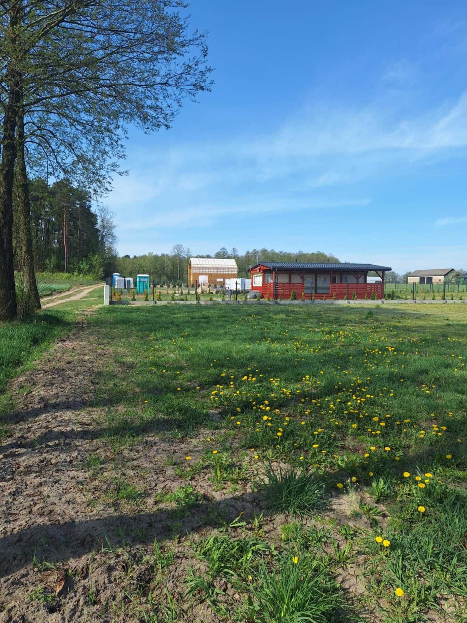 Działka nad jeziorem, warunki, media, woda