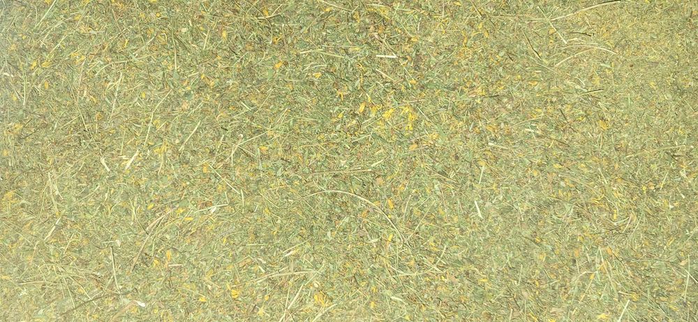 Zioła - dziurawiec tegoroczny