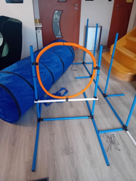 Plac zabaw treningowy dla psa