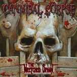 Wretched Spawn. CD. Metal Mind Productions