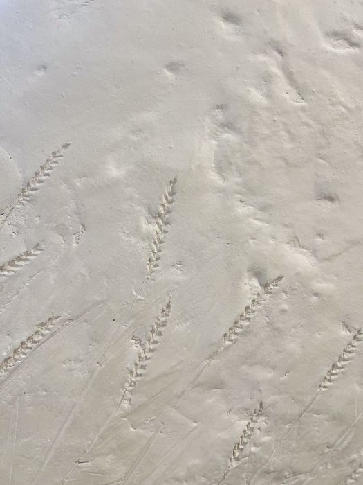 Оздоблення приміщеннь