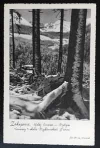 Pocztówka Zakopane Kolej linowa Mydlenickie Turnie Fotografia PRL