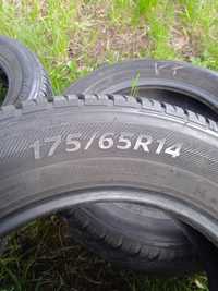 Opony całoroczne 175/65R14 Nexen