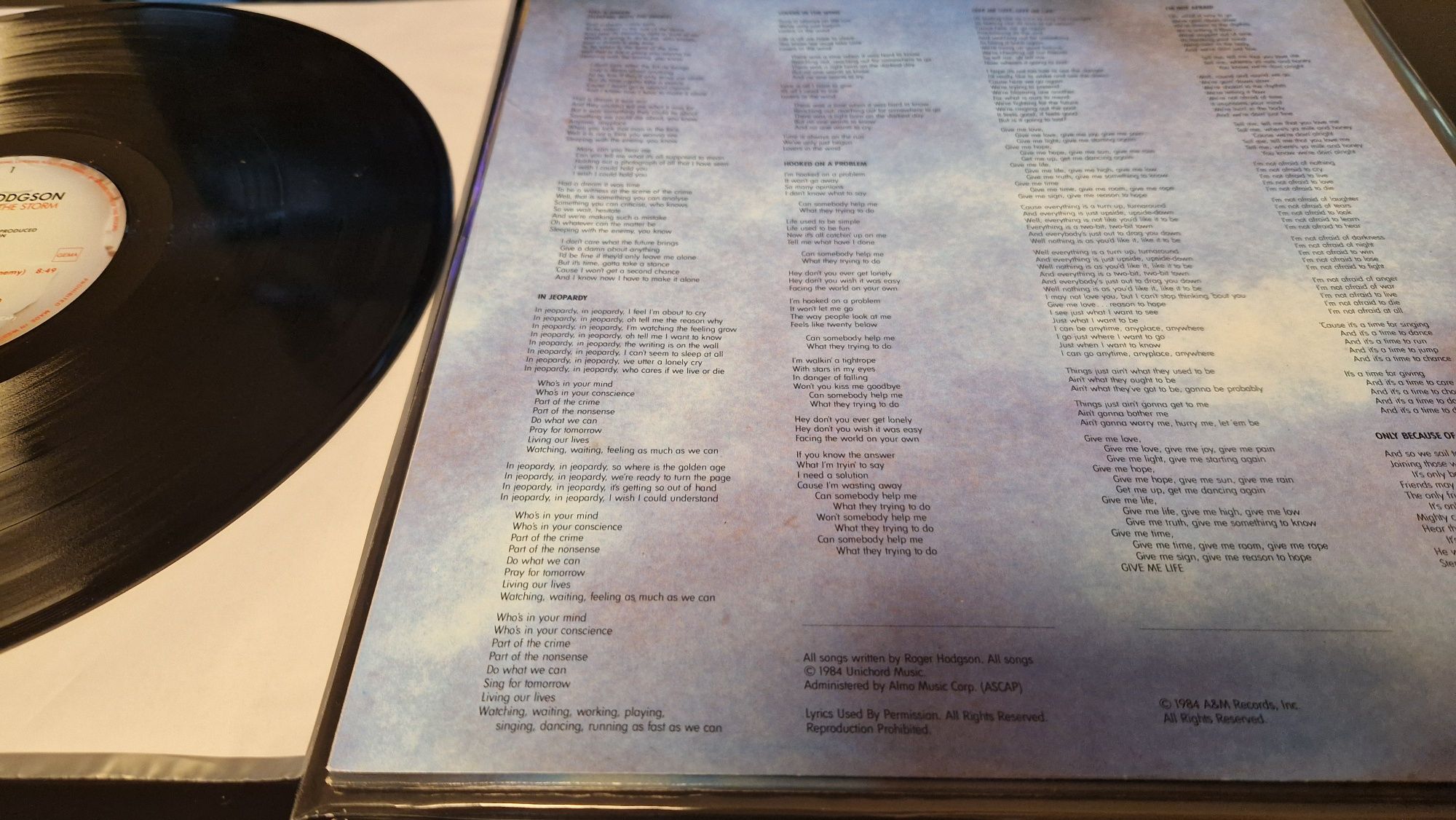 Roger Hodgson Supertramp In the Eye of the Storm Stan EX/EX winyl