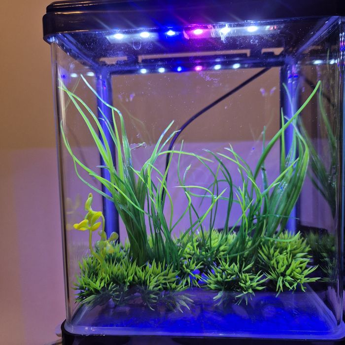 Akwarium 3l oświetlenie led