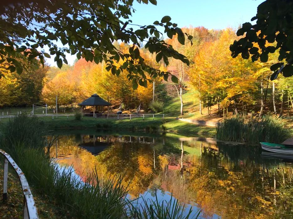 -15% LEŚNICZÓWKA domek sauna balia stawy w lesie 2,5 ha wyłączność!