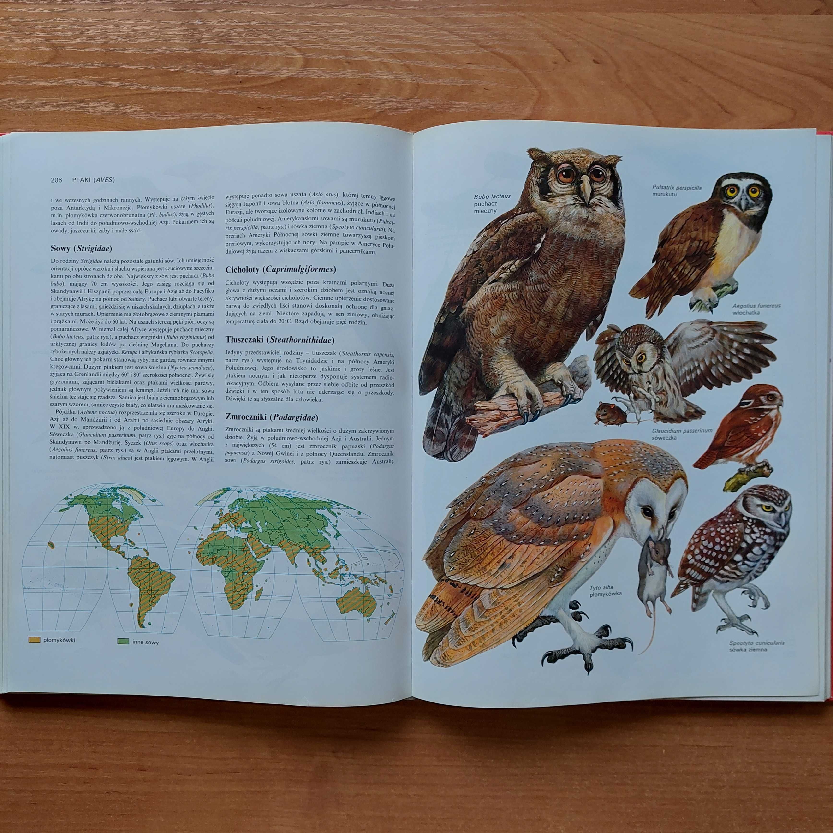 Encyklopedia zwierząt od pierwotniaków do ssaków