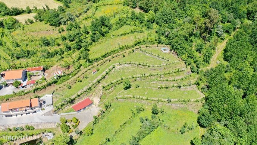 Terreno com 3.978m2 em São Gens - Fafe