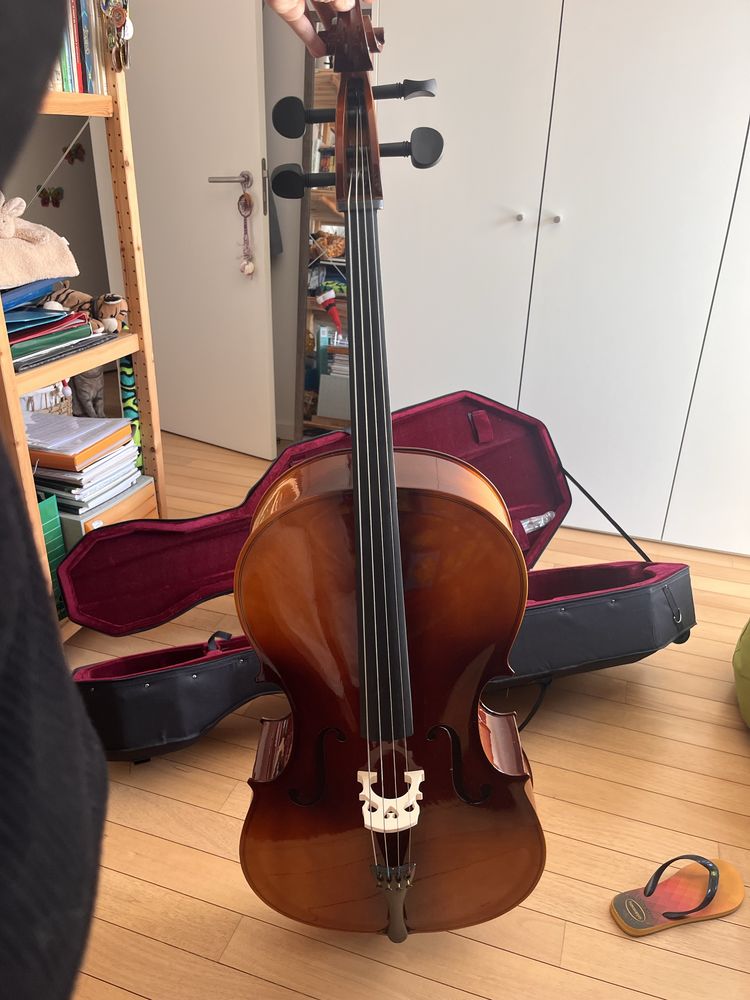 Violoncelo tamanho inteiro (4/4)