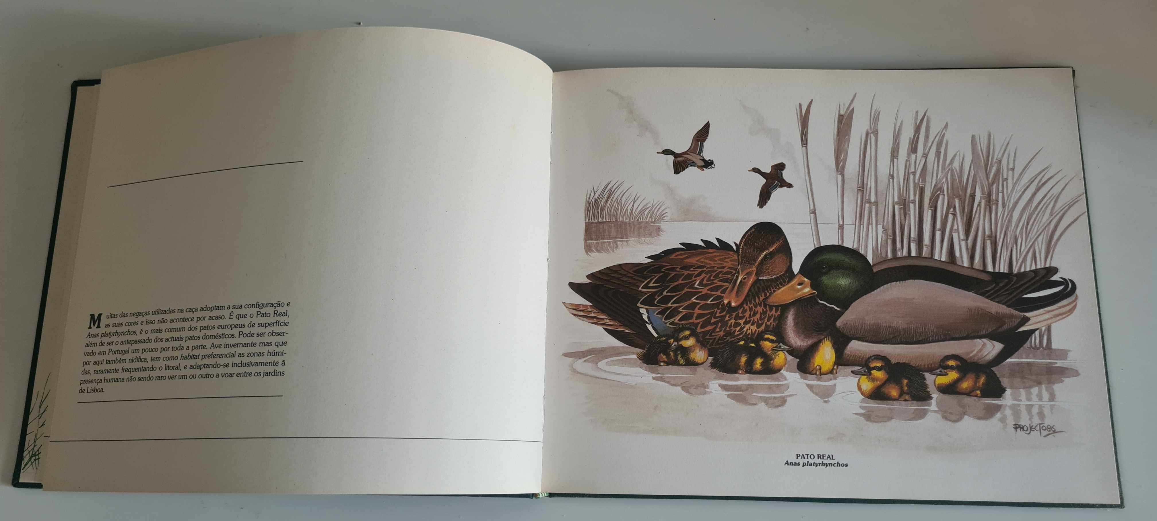 Livro Os Patos (com 4 ilustrações para emoldurar)