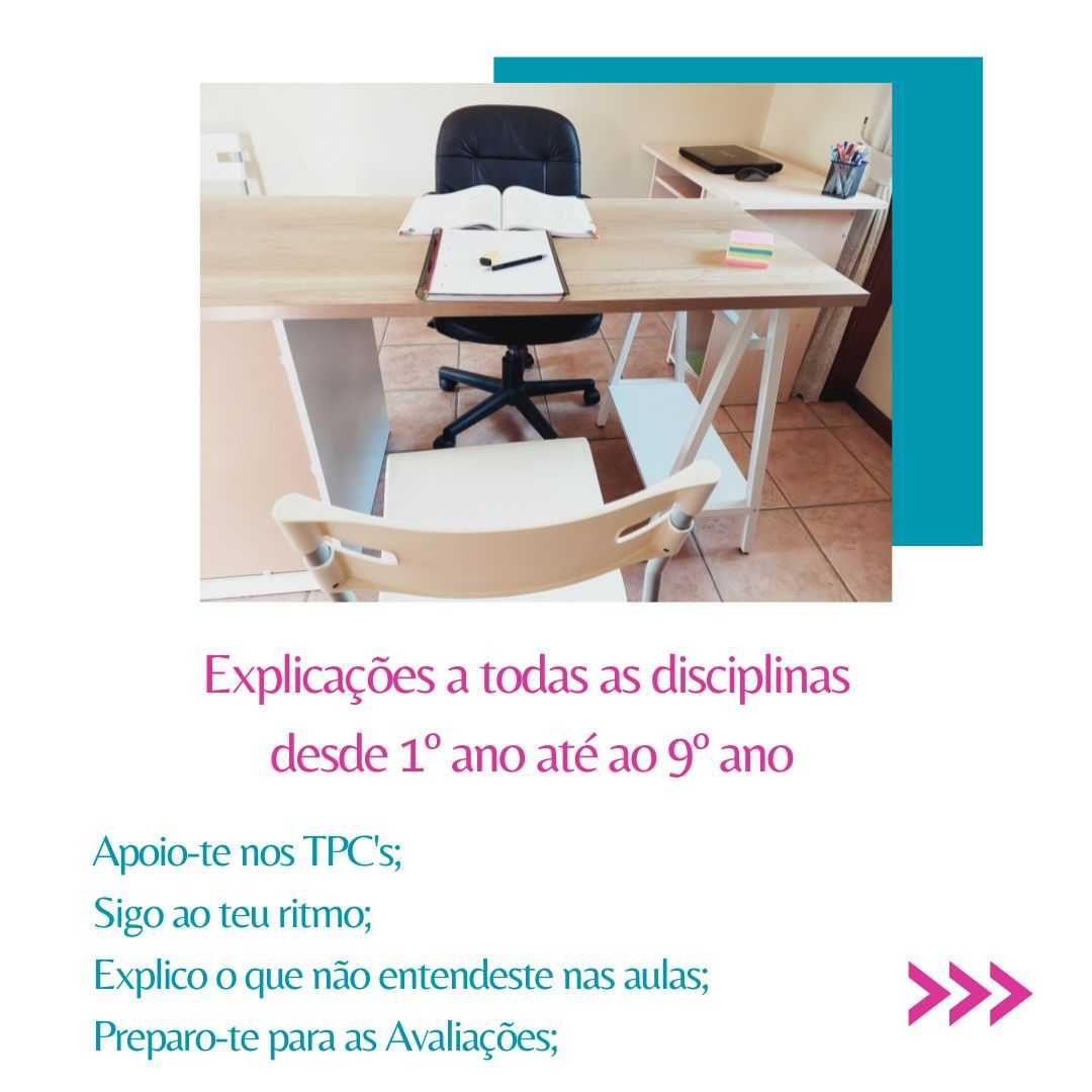 Explicações Individuais