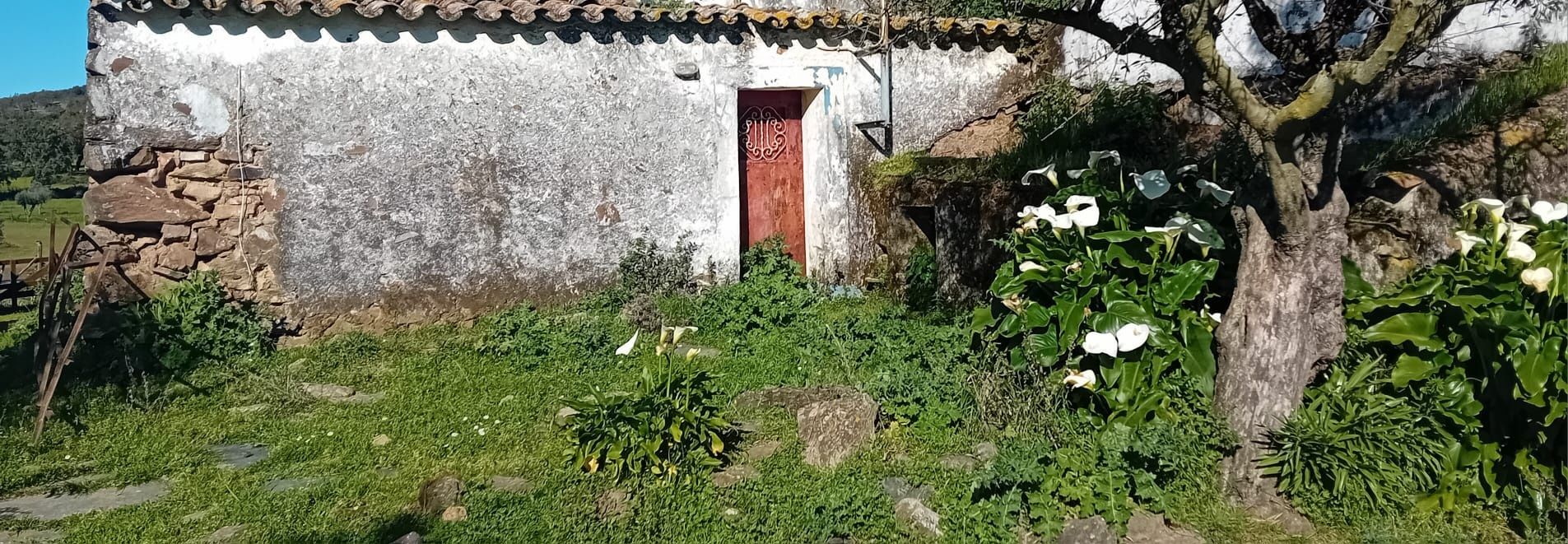 Monte alentejano 7500m2