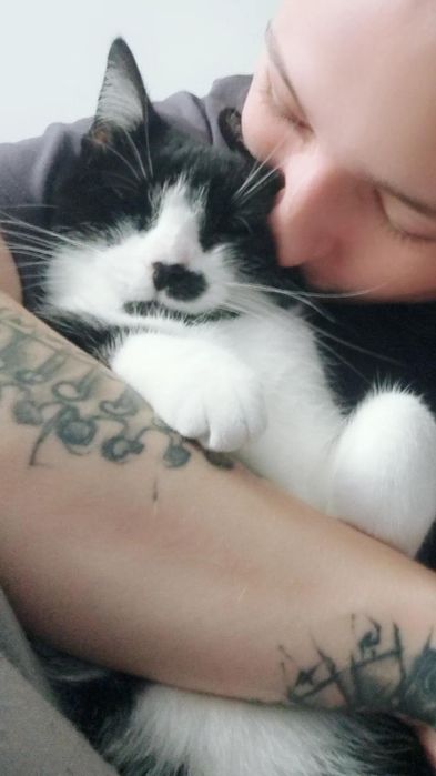 Niepełnosprawna Borówka szuka domu