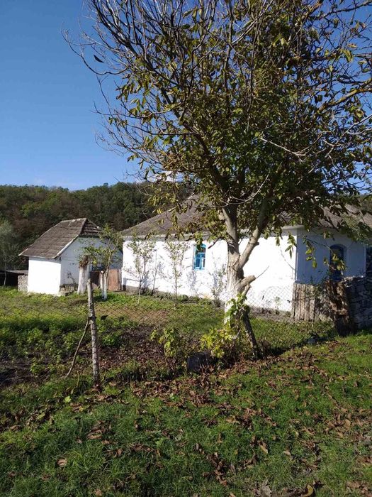 Продаж великого будинку