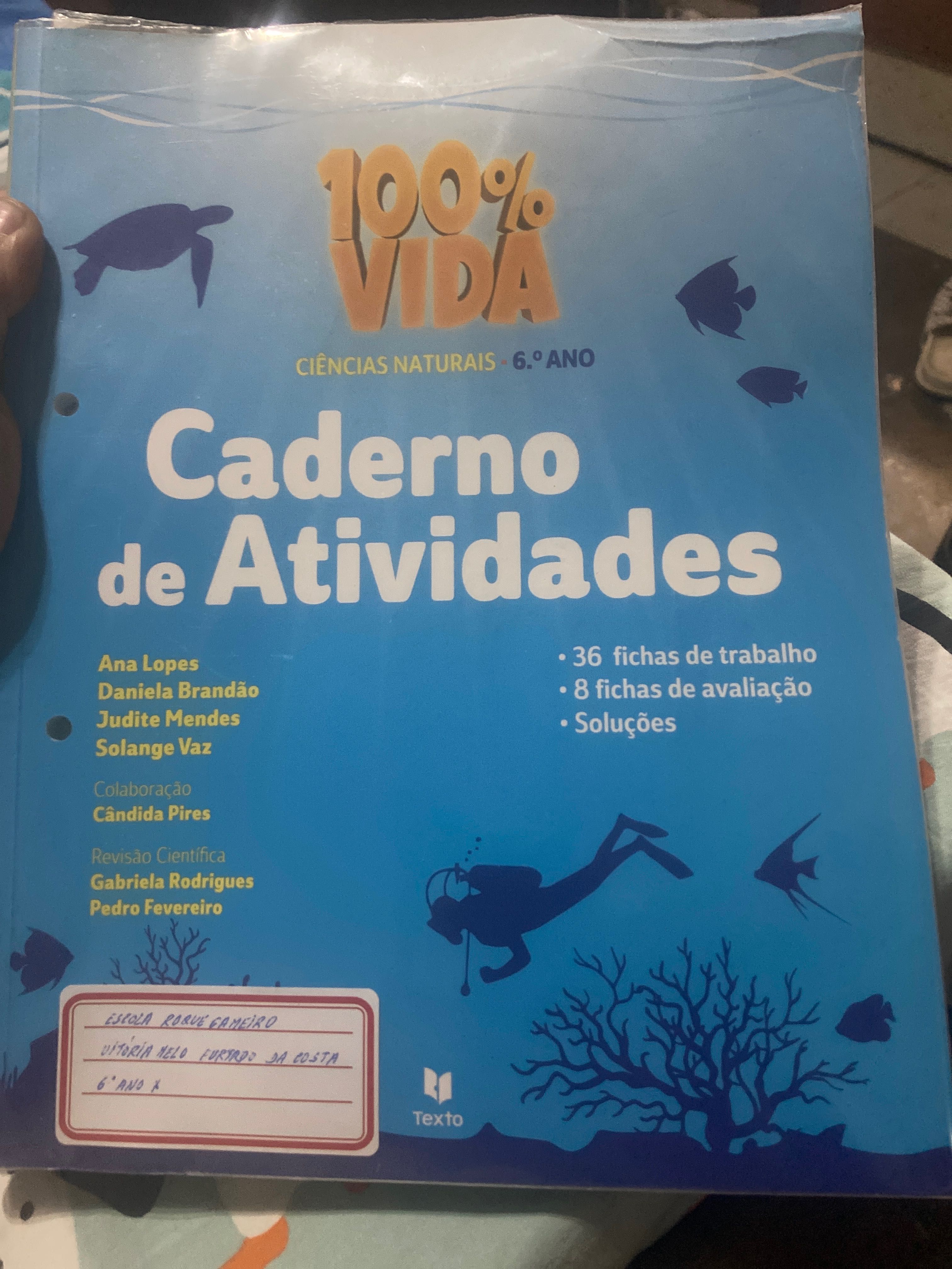 Livros escolares 6o ano só livro de actividades