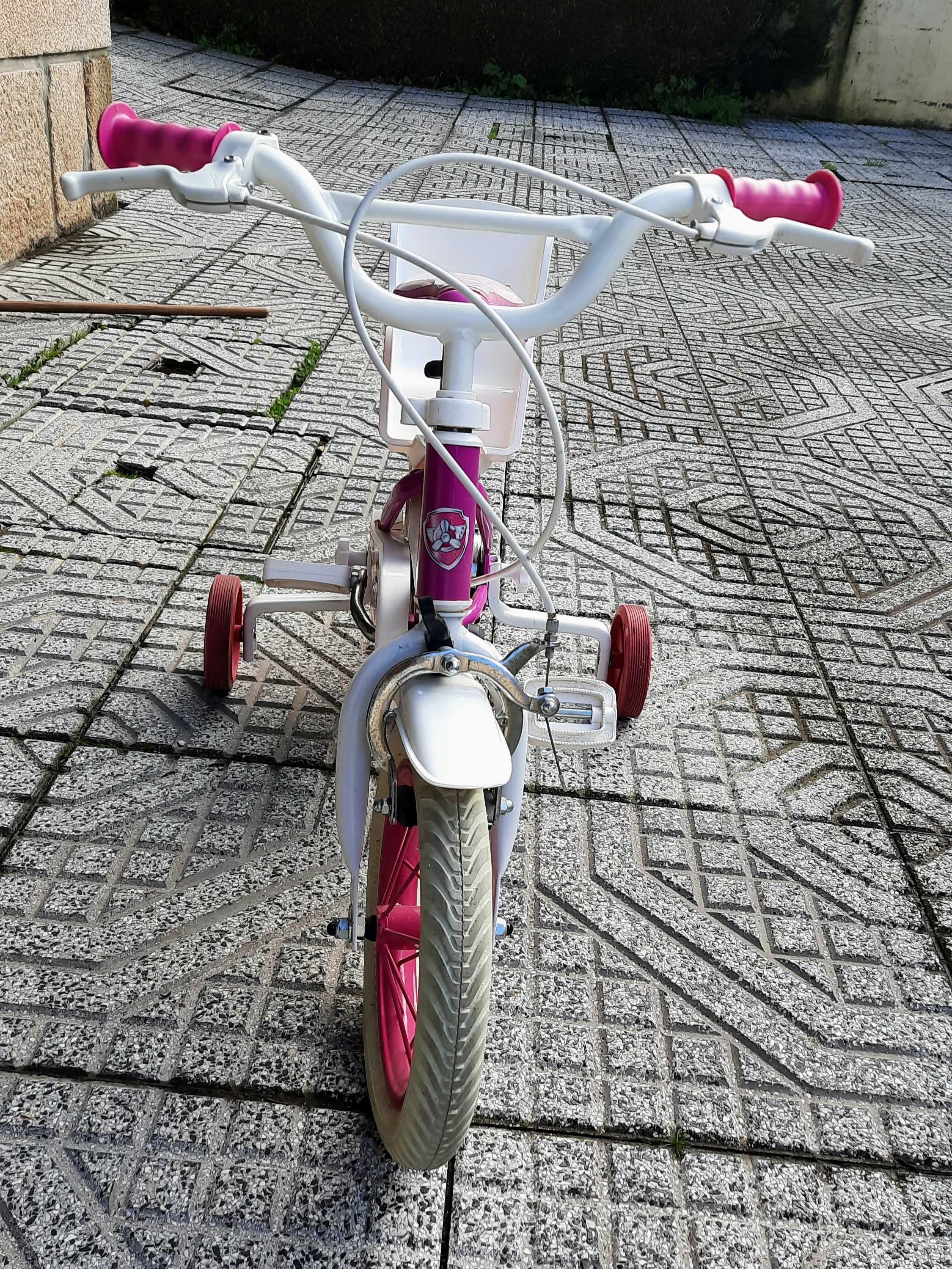 Bicicleta Sky, da Patrulha Pata aro 14