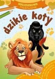 Książeczki dla dzieci KOLOROWANKI