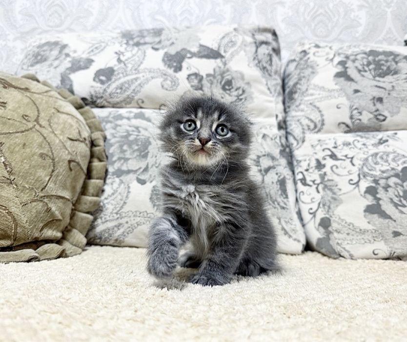 Бусинки Шикарные в Киеве